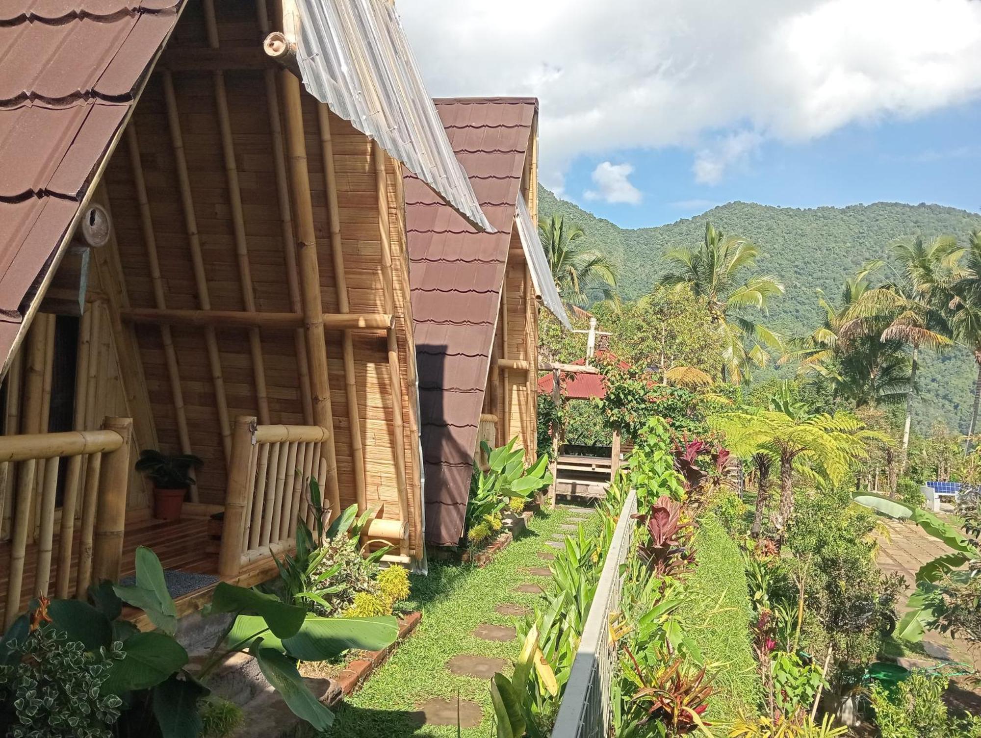 Sekumpul Bali Hidden Space سينغاراجا المظهر الخارجي الصورة