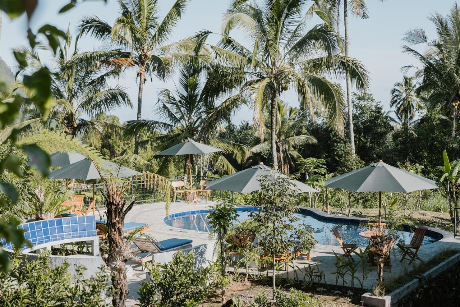 Sekumpul Bali Hidden Space سينغاراجا المظهر الخارجي الصورة
