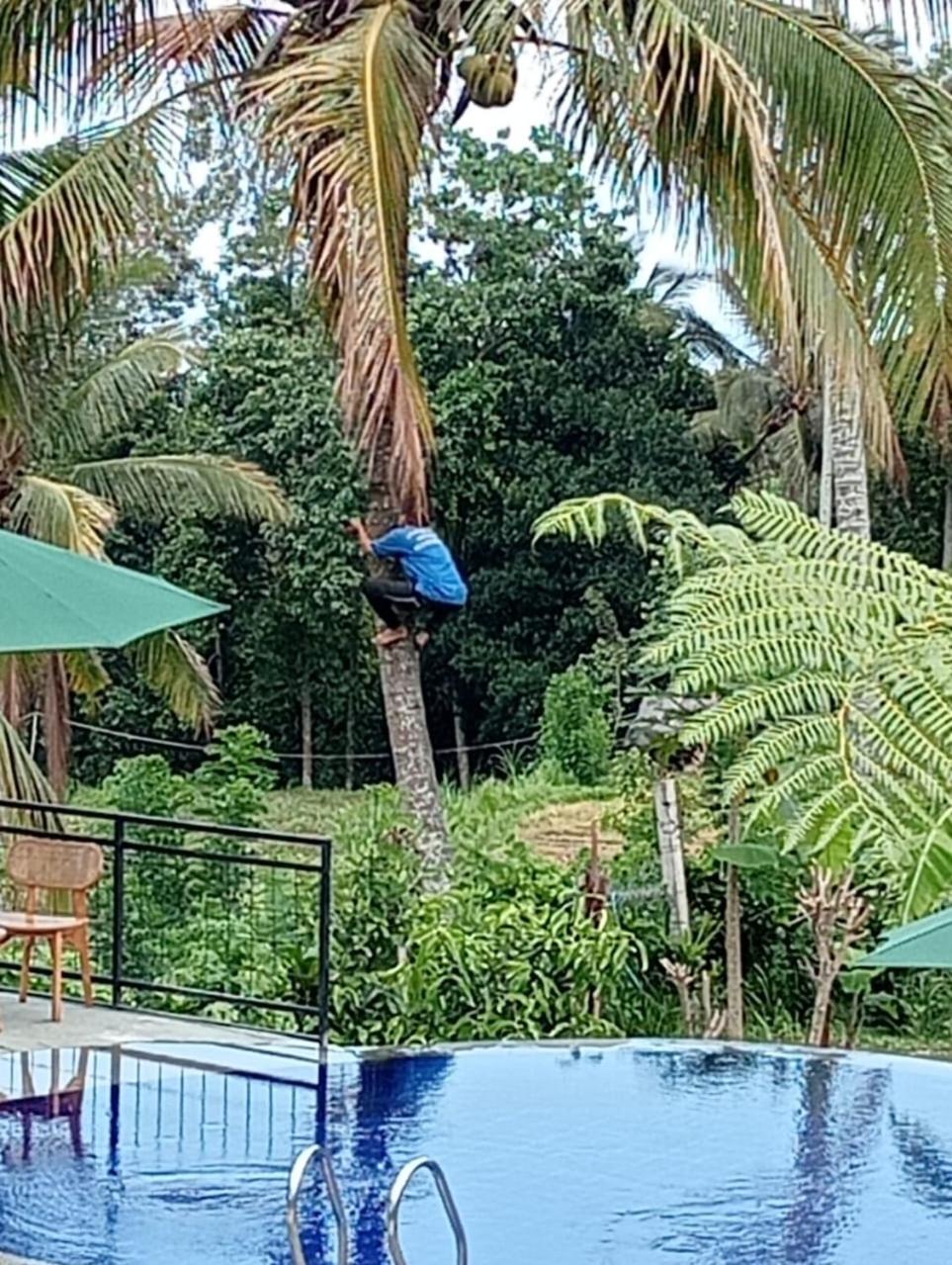 Sekumpul Bali Hidden Space سينغاراجا المظهر الخارجي الصورة