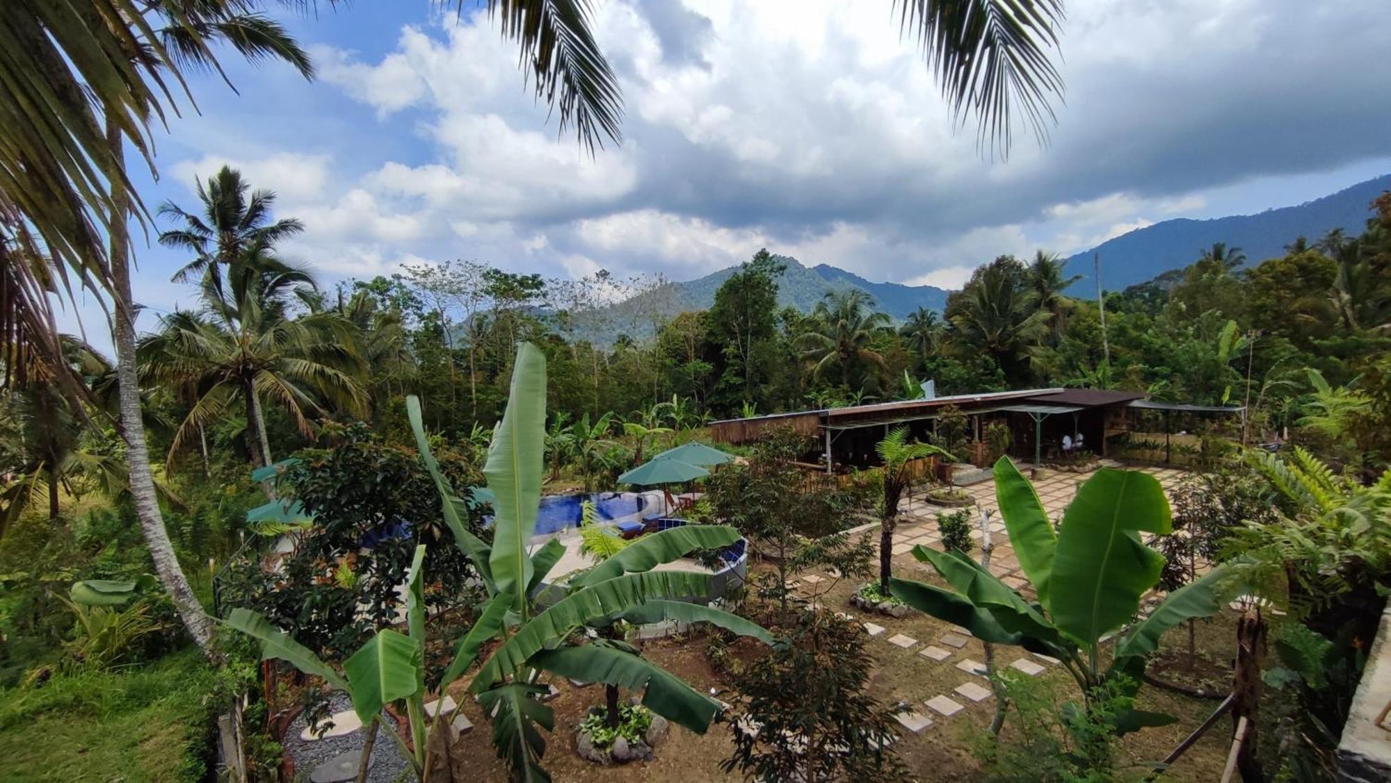 Sekumpul Bali Hidden Space سينغاراجا المظهر الخارجي الصورة