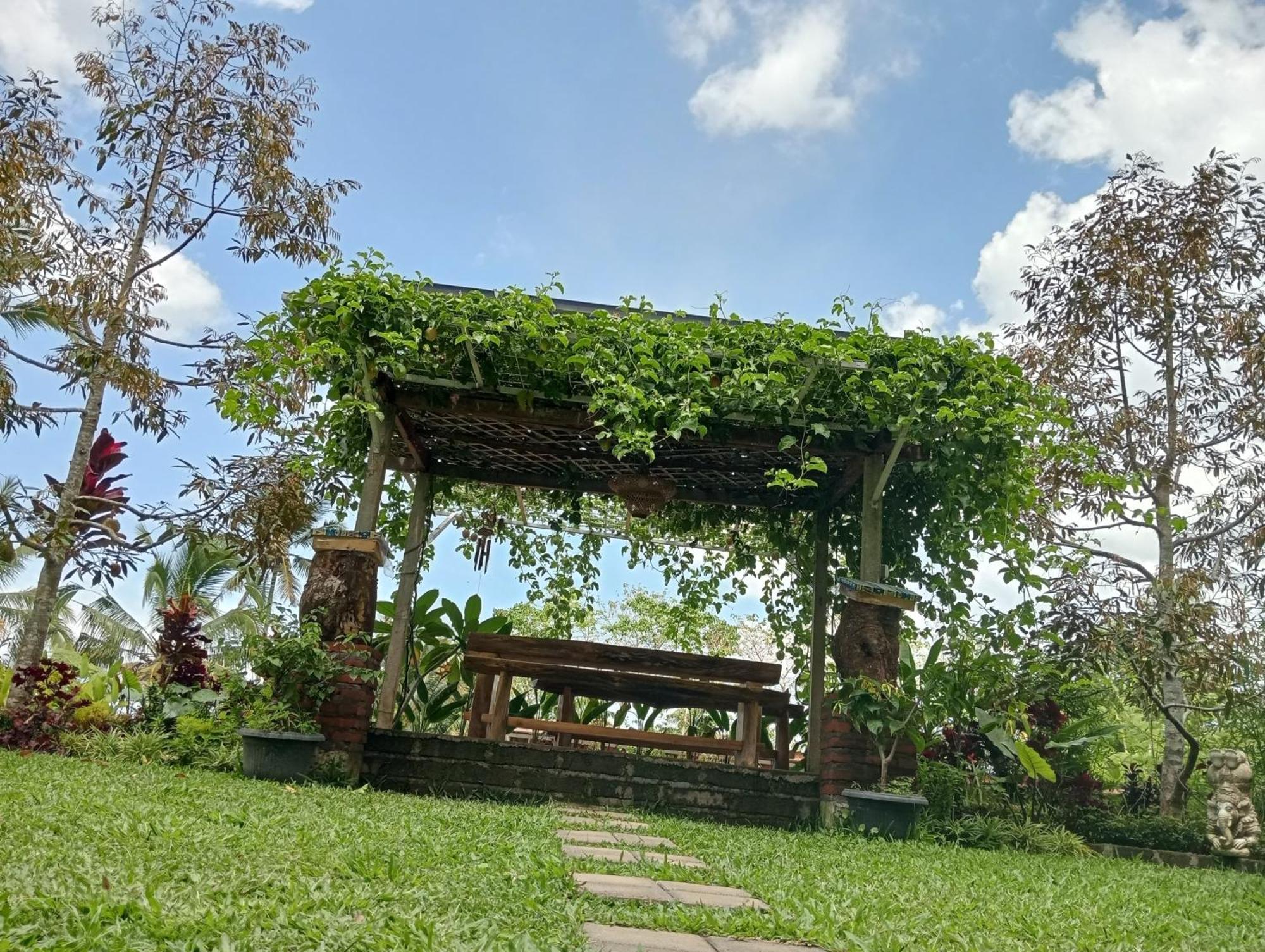 Sekumpul Bali Hidden Space سينغاراجا المظهر الخارجي الصورة