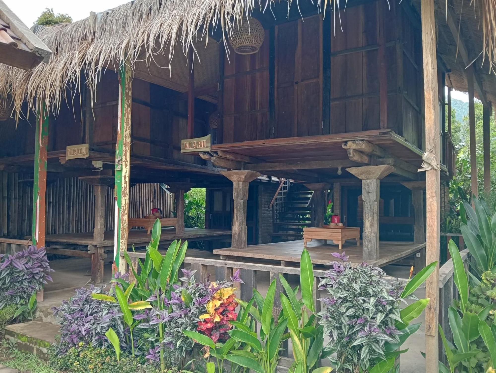 Sekumpul Bali Hidden Space سينغاراجا المظهر الخارجي الصورة